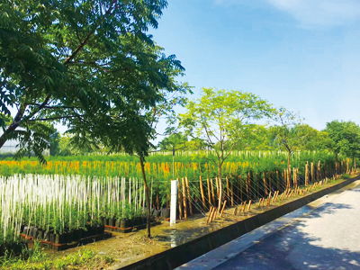 上海市林木種子生產經營許可證的管理研究及農副產品銷售協(xié)同發(fā)展